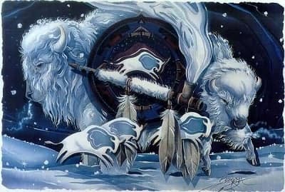 LA RUOTA DI MEDICINA - IL SENTIERO DEL NORD