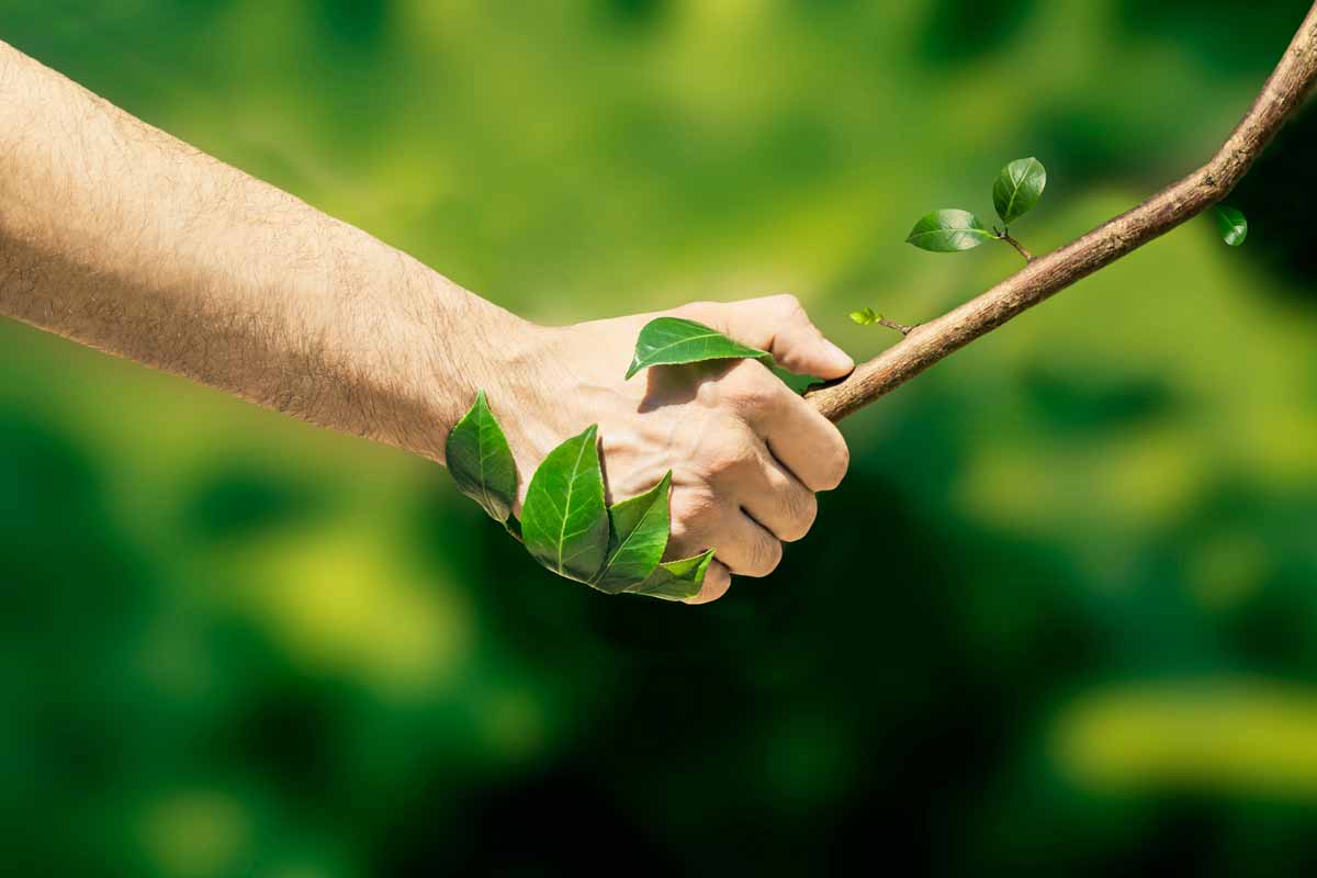 In armonia con Madre Terra - Ritrovare l'unità tra essere umano e natura
