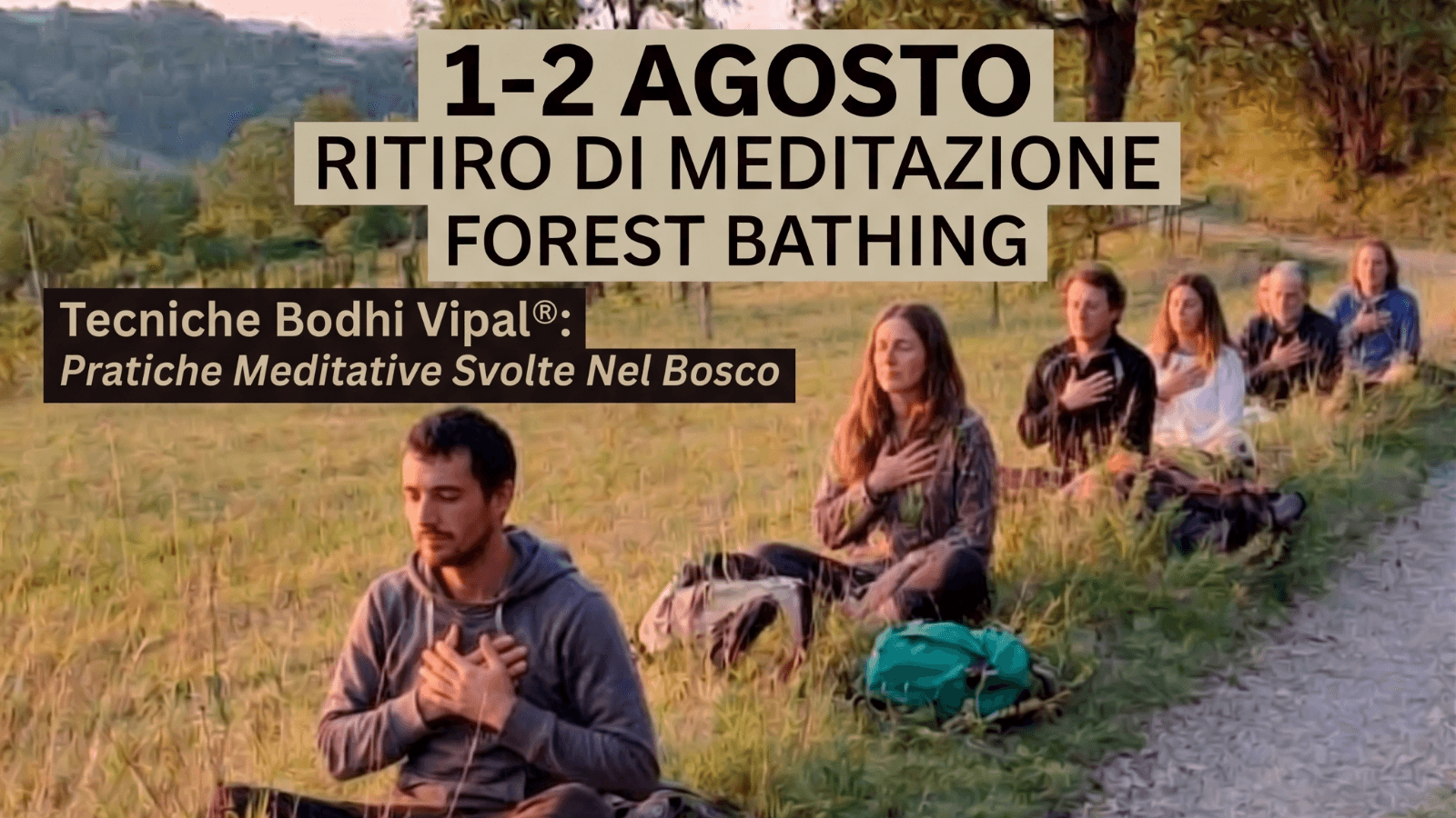 Ritiro Di Meditazione Forest Bathing Tecniche Bodhi Vipal®: Pratiche Meditative Svolte Nel Bosco